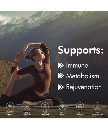 Organic Shilajit Capsules - 20 000mg Gold Grade Plus with Fulvic & Humic Acid | 120 Capsules for Energy Stamina & Brain Support - Made in the USA - Buy Online on GoSupps.com