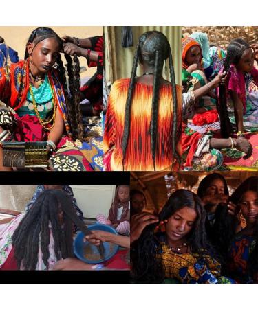 Buy Africa Croton Tree Seeds Extract (Chebe Hot Oil) - Strengthen Scalp & Hair Roots | Croton gratissimus  - Buy Online on GoSupps.com