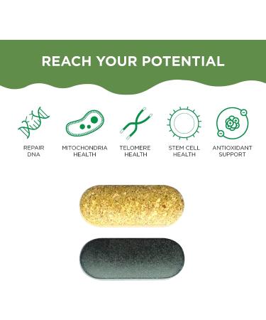 Healthycell AM PM Multivitamin for Adults - Anti-Aging Stem Cell Support - 120 Vegetarian Tablets - Buy Online on GoSupps.com