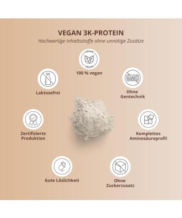 Nutri+ Vegan Whey Cinnamon Cereal 1kg - High Protein Shake & Lactose-Free Vegan Protein Powder - 1000g Cinnamon Protein Complex - Buy Online on GoSupps.com
