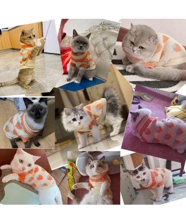 Aniac Small Orange Cat Sweater - Cozy Vest for Small Dogs and Kittens - Winter Knitwear for Cold Seasons and Spring - Buy Online on GoSupps.com
