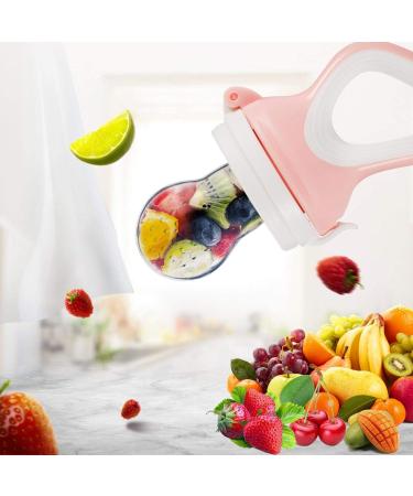 Baby Food Feeder Fresh Food - 2 Pack Fruit Feeder Pacifier Set | Silicone Pacifiers & Teething Toy | Baby Food Dispensing Spoon | Teether Feeding Set (Light Pink) - Buy Online on GoSupps.com