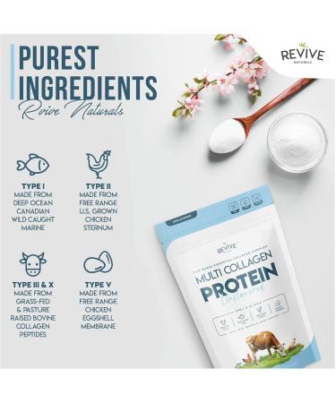 Buy Multi Collagen Hydrolyzed Protein Powder (16oz) - Types I II III V & X - Grass Fed Non-GMO Gluten-Free International Shipping Available - Buy Online on GoSupps.com