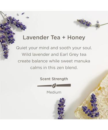 Enviroscent Lavender Tea + Honey Air Freshener Refills for Plug Hub - Pack of 2 Liquidless Scent Pods - Buy Online on GoSupps.com