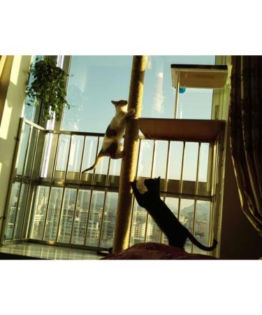 Yangbaga 1/4 inch Cat Scratching Post Replacement Sisal Rope - 66FT Natural Fiber Dye Free - Buy Online on GoSupps.com