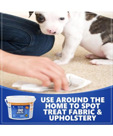 ECOS Oxo-Brite Color-Safe Whitener & Brightener - 57.6 oz (Pack of 2) | Earth Friendly Products - Buy Online on GoSupps.com