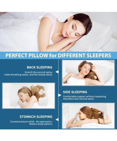 Findigit Ergonomic Cervical Orthopedic Memory Foam Pillow for Neck Pain Relief - Contoured, Supportive Design for Side, Back, and Stomach Sleepers - White 23.6*14*3.6/4.3 - Buy Online on GoSupps.com