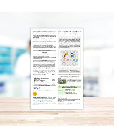 Aboca Lynphase Liquid concentrate 12 bottles for single dose drainage of body fluids and vascular wellbeing with dandelion gold dang orthosiphon buckwheat and Russian - Buy Online on GoSupps.com