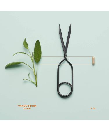 LifeSeasons Pausitivi-T Menopause Relief Supplement - Hormone Balance & Hot Flash Support - Black Cohosh & Soy Isoflavones - 60 Capsules - Buy Online on GoSupps.com