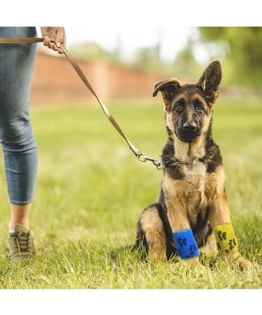 Self-Adhering Elastic Bandage - 9 Rolls 5cm x 4.5m | Ideal for Dogs Horses & Pets | Wrap for Wrist Ankle & Finger Support - Buy Online on GoSupps.com