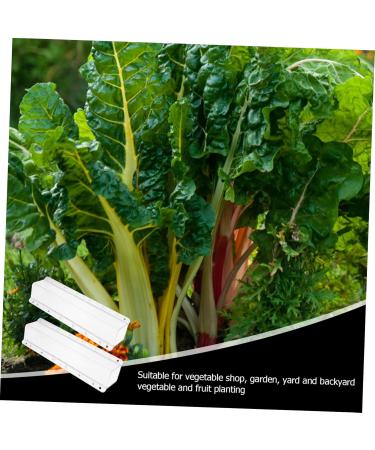 Toddmomy Vessel Tools 4 Pcs Square Cucumber Molds Vegetables One Cucumber Plant DIY Star Tool Growth Molds Container Gourd - Buy Online on GoSupps.com