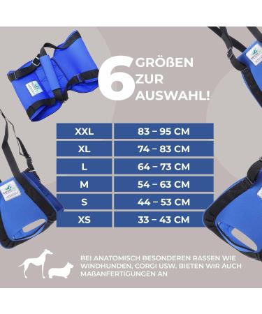 Nature PET Carrier for Dogs - Stair Aid Lift Strap for Older & Sick Dogs - Black L (1 Pack) | International Shipping - Buy Online on GoSupps.com