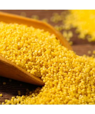 Millet Yellow millet17.6oz Hulled Gluten Free Raw Sun-Dried Millet Whole Grain  - Buy Online on GoSupps.com
