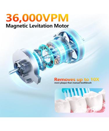 Portable Sonic Electric Toothbrush for Adults - Teeth Whitening 3 Brush Heads & Pressure Sensor - Rechargeable & Travel-Friendly - Buy Online on GoSupps.com