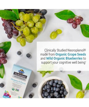 Garden of Life Dr. Formulated Brain Health - Memory & Focus for Adults 40+, 60 Veggie Tablets - Buy Online on GoSupps.com