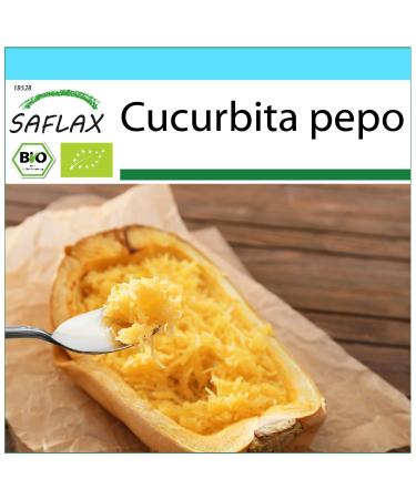 SAFLAX - Gift Set - Organic - Squash - Spaghetti - 5 Seeds - with Gift Box Card Label and Potting Substrate - Cucurbita Pepo