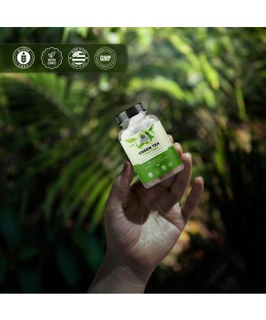 Amazing Botanicals Green Tea Extract Tablets - Camellia Sinensis, 200mg 50% Polyphenols | Daily Wellness Supplement | Non-GMO, Gluten Free - 30 Count - Buy Online on GoSupps.com