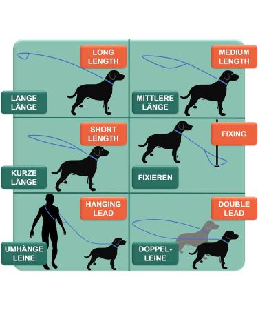 Dey Premium Air Mesh Dog Leash 2m - 3-Way Adjustable for All Dog Sizes | Many Colors Available | Double Dog Leash for Puppies & Large Dogs | Green S S/M  - Buy Online on GoSupps.com