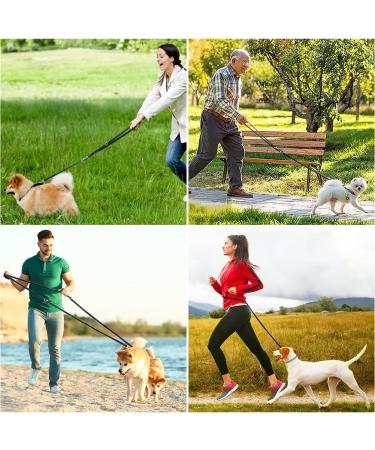 Vivifying Dog Training Leads 2m Double Ended Lead for Dogs with 2 Handles for Puppy Walks and Close Control 1.5cm x 2m - Buy Online on GoSupps.com