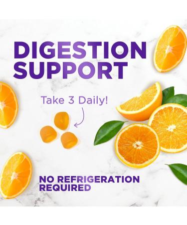 Probiotic Gummies 5 Billion CFU - Advanced Multi-Strain Probiotic Formula Immune Digestive & Gut Health Support Gummy for Women Men Kids Daily Probiotics Supplement Non-GMO Vegan 120 Gummies 120 Count (Pack of 1) - Buy Online on GoSupps.com