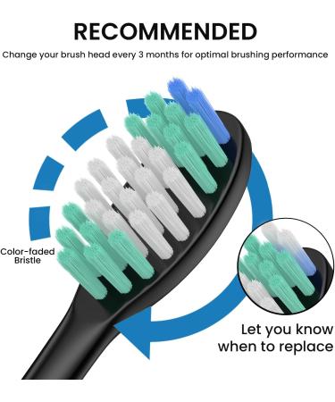 Replacement Toothbrush Heads Compatible with AquaSonic Black Vibe & Duo Series - Pack of 10 - Buy Online on GoSupps.com
