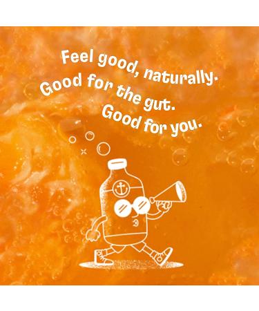 Health-Ade Kombucha Tea Organic Drink | Living Probiotics & Detoxifying Acids | Gut Health Support | Non-GMO, Vegan & Gluten Free | 12 Pack (16 Fl Oz Bottles) - Buy Online on GoSupps.com