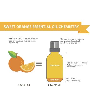 Sweet Orange Essential Oil 1 oz - 100% Pure & Natural | Therapeutic Grade Italian Orange Oil - Premium Quality - Buy Online on GoSupps.com