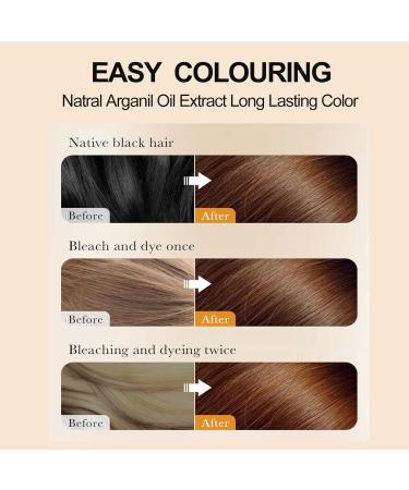 HOUSN Hair Dye Shampoo color shampoo brown dark brown hair dye shampoos 3in1 natural hair color against gray hair and beard fast action and caring effect direct hair coloring shampoo 400 - Buy Online on GoSupps.com