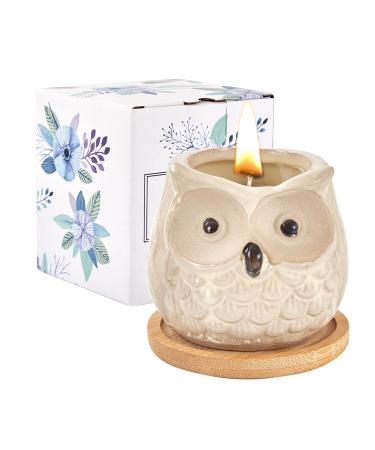 Kinforse scented candles gifts for women birthday gifts owls cute orange candle  - Buy Online on GoSupps.com