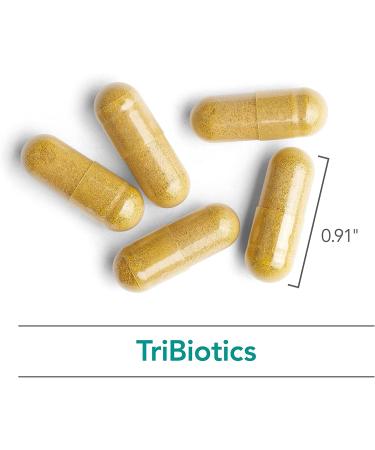Nutricology TriBiotics - 90 Vegetarian Capsules for Digestive Health - Buy Online on GoSupps.com
