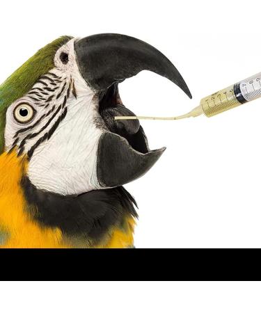10Pcs Hand Feeding Syringe with Tubes Pet Feeding Syringe with Measuring for Pet Baby Bird Parrot feed milk and medicine - Buy Online on GoSupps.com