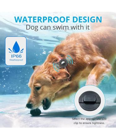 Airtag Dog Collar Holder Waterproof Airtag Case for Dogs Anti-lost Shock Resistant Air Tag Holder Protective Cover for Key Backpack Cat Dog Gps Tracker(Black) - Buy Online on GoSupps.com