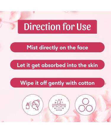 Sri Sri Tattva Gulab Jal 100ml Pack of 2 - Pure Rose Water for Skin Care | International Shipping Available - Buy Online on GoSupps.com