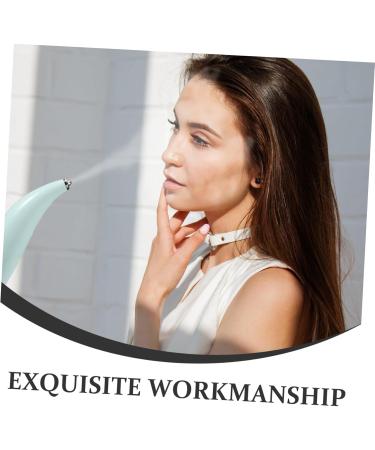 DOITOOL Face Steamer Handheld Oxygen Meter Portable Face Mister Mist Spray for Salon The Face Woman Instant Noodles - Buy Online on GoSupps.com