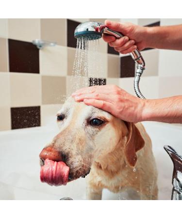  Iv San Bernard Passione Nera Mask - Dog Mask - 1 Litre - Helps Revitalise All Hair Types - Energy and Revitalising Effect - Antioxidant Properties - IV San Bernard - Buy Online on GoSupps.com