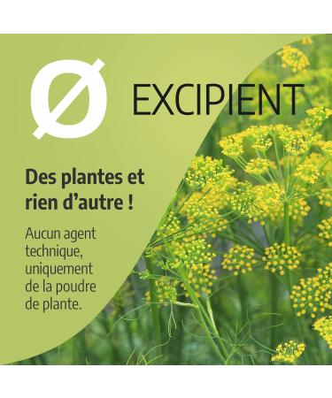 Fennel 250 mg - 200 capsules - Ecocert certified - Buy Online on GoSupps.com