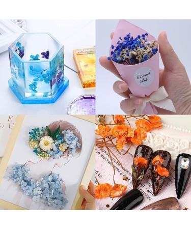 Dried Flowers for Resin & Crafts - 2 Box Mixed Real Flowers for Candles, Jewelry, Scrapbooking & Decor - Buy Online on GoSupps.com