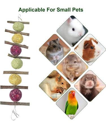 GNCLOUD Rabbit Toys: Apple Stick, Rose & Grass Ball - Hanging Boredom Breaker Treats for Hamsters, Chinchillas, Guinea Pigs, Gerbils - 1pc - Buy Online on GoSupps.com
