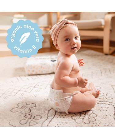 ABBY&FINN Natural Unscented Baby Wipes - Sensitive Water Based Diaper Wipes - 288 Total Wipes (4 Pop-Top Packs, 72 Count each) - Buy Online on GoSupps.com