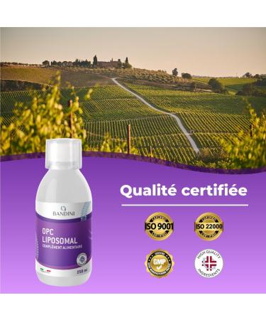  BANDINI Bandini OPC Liposomal Liquid 250ml - Grape Seed Extract 95% OPC (200mg per dose) - Optimal absorption with technology - Buy Online on GoSupps.com