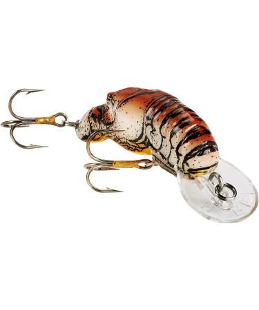 Rebel Lures Realistic Crawfish Crankbait Fishing Lure - Ditch/Brown Wee (5-7 ft Depth) - Buy Online on GoSupps.com