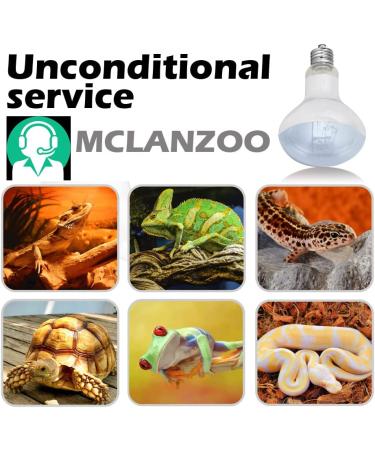 MCLANZOO 2 Pack 75W Reptile Heat Lamp Bulb/Light + Digital Thermometer - Ideal for Lizard, Tortoise, Bearded Dragon, Hedgehogs - UVA Basking Spot Heat Lamp for Reptiles & Amphibians - Buy Online on GoSupps.com