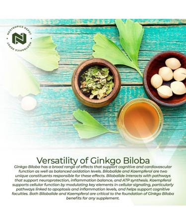 Nootropics Depot Ginkgo Biloba Extract Tablets | 120mg | 365 Count | Minimum 10% Kaempferol Glycoside + 2% Bilobalide | May Help Promote Cognitive & Cardiovascular Function 365 Count (Pack of 1) - Buy Online on GoSupps.com