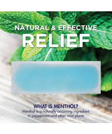 HealthWise Instant Cool Gel Patches | Migraine & Fever Relief | 12-Count | 4.75 x 2 | Soothing Menthol Vapors | Non-Medicated Formula - Buy Online on GoSupps.com