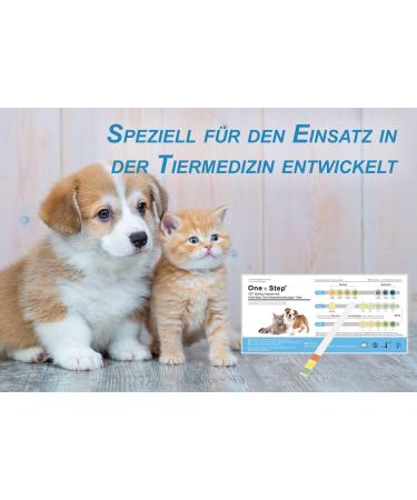 One+Step Cat Health Test - Quick Urine Kidney Check at Home - 1 Piece for Pet Health - Buy Online on GoSupps.com