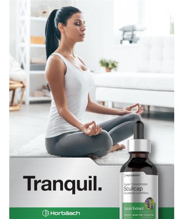 Horb ach Scullcap Herb Liquid Extract | 2 fl oz Tincture | Super Concentrated | Alcohol Free Vegetarian Non-GMO Gluten Free Skullcap Supplement - Buy Online on GoSupps.com