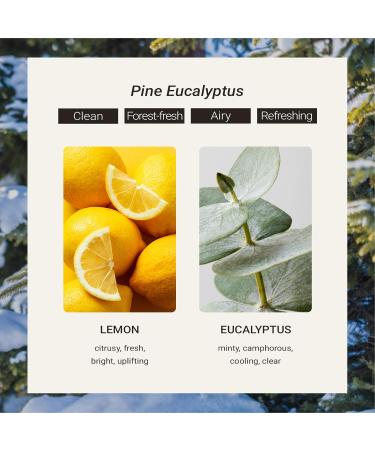 JCLOUD Pine Eucalyptus Hotel Diffuser Oil Lemon Eucalyptus & Cedar - Hotel Essential Oil Luxury Long Lasting Aromatherapy Fragrance in Glass Bottle 100mL - Buy Online on GoSupps.com