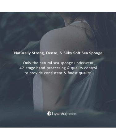 Hydrea London Natural Sea Sponge 5-5.5"- Premium Mediterranean Honeycomb Unbleached Natural Sponge for Bath and Shower for Adults Women Men Children and Baby - Buy Online on GoSupps.com