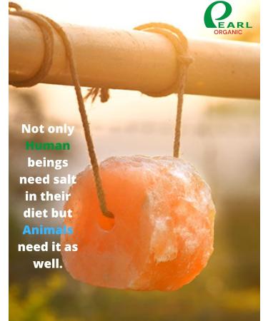Buy 8 lbs Himalayan Salt Lick on Rope for Horses Deer Rabbits & Livestock | Digestive Aid & Treats for Animals - Buy Online on GoSupps.com