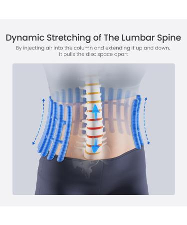 Decompression Back Belt - Lumbar Support Device for Lower Back Pain Relief | Spine Reset & Back Traction for Men & Women (Large 42-53 - Buy Online on GoSupps.com